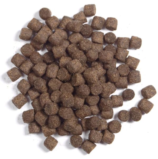 Koifutter | KOIMENUE® | Champion